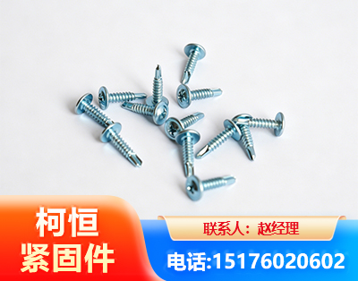 西双版纳华司钻尾丝