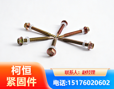西双版纳六角钻尾丝