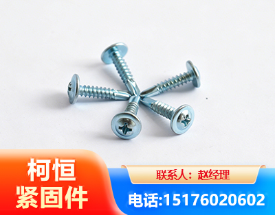 西双版纳华司钻尾丝