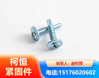 西双版纳华司钻尾丝
