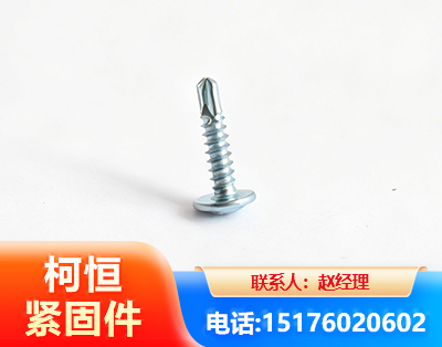 西双版纳华司钻尾丝