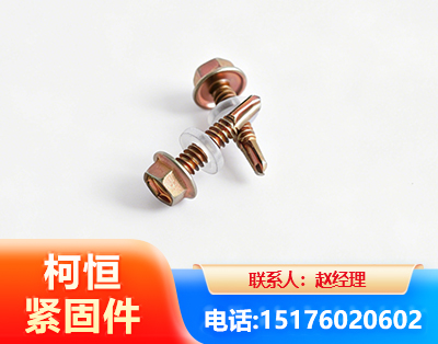 西双版纳六角钻尾丝
